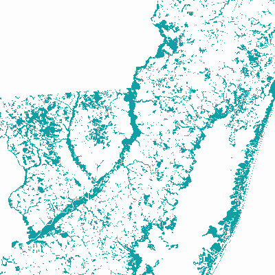 Export Image